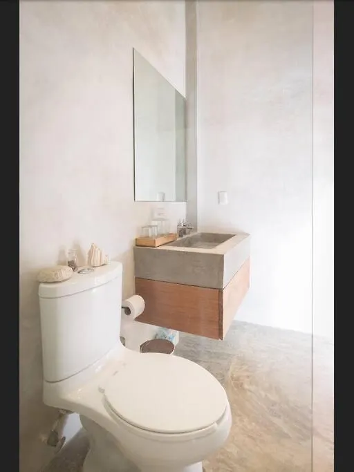 Luxury Penthouse 300M2 With Private Terrace & Pool Apartment Tulum